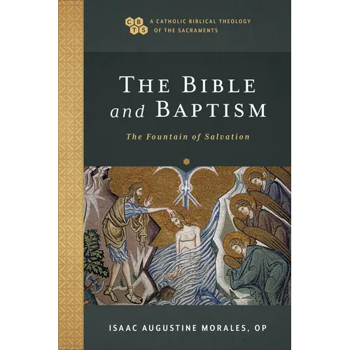The Bible and Baptism: The Fountain of Salvation - Paperback
