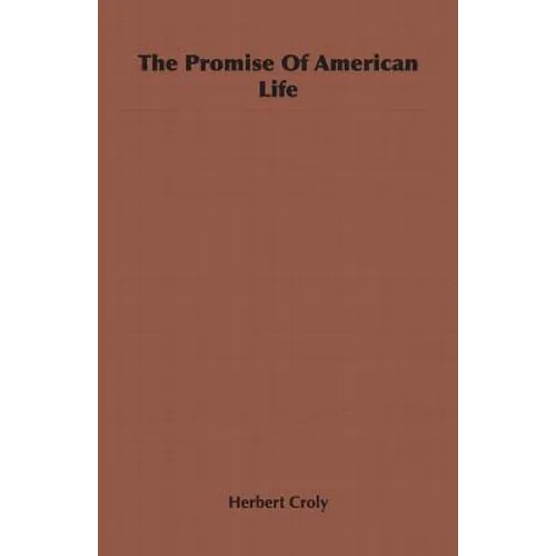 The Promise Of American Life - Paperback