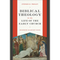 Biblical Theology in the Life of the Early Church: Recovering an Ancient Vision - Paperback