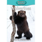 Wolverines - Paperback