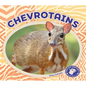 Chevrotains - Library Binding