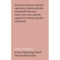 Lesbian Feminism: Essays Opposing Global Heteropatriarchies - Hardcover