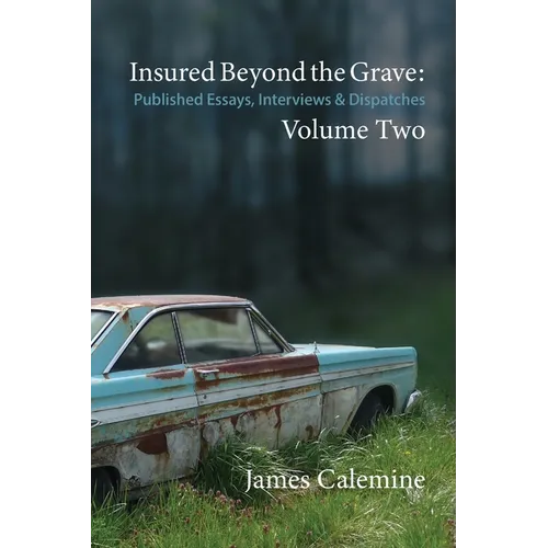 Insured Beyond the Grave: Published Essays, Interviews & Dispatches Volume Two - Paperback