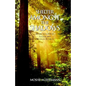 Shelter Amongst the Shadows - Paperback