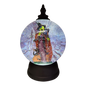 Bewitching Witch Lighted Snow Globe