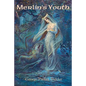Merlin's Youth - Paperback