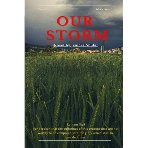 Our Storm - Paperback