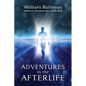 Adventures in the Afterlife - Paperback