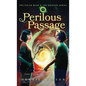 The Polar Bear and the Dragon: Perilous Passage - Hardcover