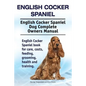 English Cocker Spaniel. English Cocker Spaniel Dog Complete Owners Manual. English Cocker Spaniel book for care, costs, feeding, grooming, health and - Paperback