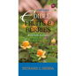 A Field Guide to Edible Fruits and Berries of the Pacific Northwest