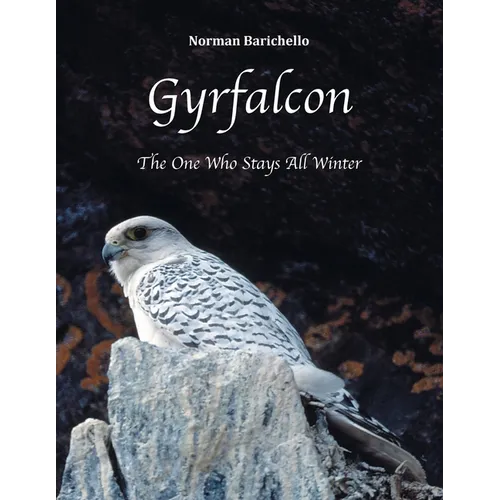 Gyrfalcon: The One Who Stays All Winter - Paperback