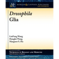 Drosophila Glia - Paperback