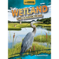 Wetland Life Connections - Paperback