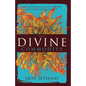The Divine Commodity: Discovering a Faith Beyond Consumer Christianity - Paperback