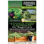 The Ultimate Guide to Companion Gardening for Beginners & the Ultimate Guide to Greenhouse Gardening for Beginners & the Ultimate Guide to Raised Bed - Paperback