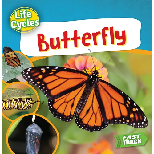 Butterfly - Paperback