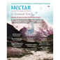 Nectar of Nondual Truth #28; A Journal of Universal Religious and Philosphical Teachings - Paperback