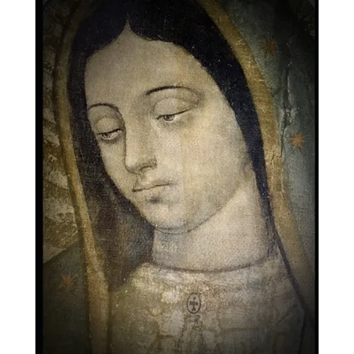 Vida de la Virgen (2): Según María Jesús de Ágreda en la Mística Ciudad de Dios - Paperback