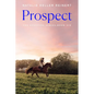 Prospect - Paperback