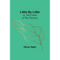 Little By Little; or, The Cruise of the Flyaway - Paperback