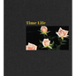 Mungo Thomson: Time Life - Hardcover