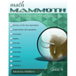 Math Mammoth Grade 6 Skills Review Workbook - Paperback