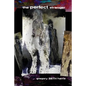 The Perfect Stranger - Paperback