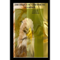 Prophetic Etiquette Manual - The Design of a Prophetic Champion: How to Destroy Error in the Prophetic Office - Paperback