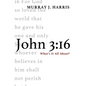 John 3:16: What's It All About? - Paperback