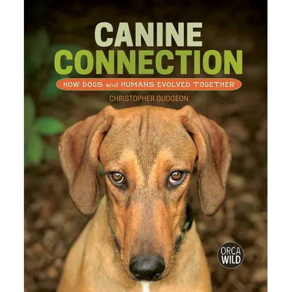 Canine Connection: How Dogs and Humans Evolved Together - Hardcover