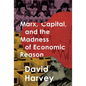Marx, Capital, and the Madness of Economic Reason - Hardcover
