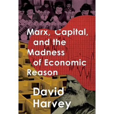 Marx, Capital, and the Madness of Economic Reason - Hardcover