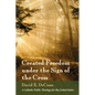 Created Freedom Under the Sign of the Cross: A Catholic Public Theology for the United States - Paperback