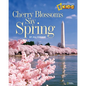 Cherry Blossoms Say Spring - Paperback