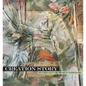 Creation Story: Gee's Bend Quilts and the Art of Thornton Dial - Hardcover