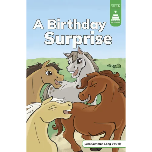 A Birthday Surprise - Paperback