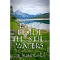 Daily Beside The Still Waters: Devotions From Psalms - Paperback