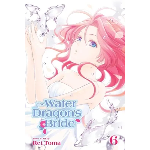 The Water Dragon's Bride, Vol. 6 - Paperback
