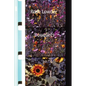 Rose Lowder Bouquets - Paperback