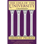 The Idea of the University: A Reexamination - Paperback
