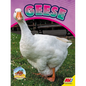 Geese - Library Binding
