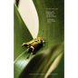 Second Nature: Origins and Originality in Art, Science, and New Media - Paperback
