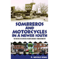 Sombreros and Motorcycles in a Newer South: The Politics of Aesthetics in South Carolina's Tourism Industry - Paperback