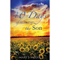 40 Days of Seeking the Son - Paperback