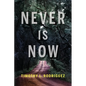 Never is Now - Paperback