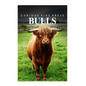Bulls - Curious Kids Press - Paperback