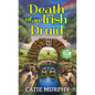 Death of an Irish Druid - Paperback