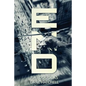 The End: A Post Apocalyptic Thriller - Paperback
