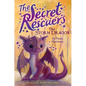 The Storm Dragon - Hardcover